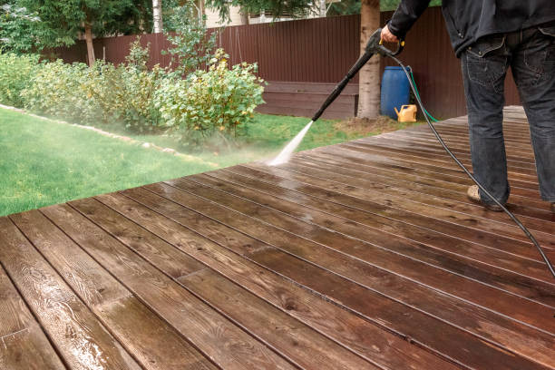 Best Animal Enclosure Cleaning  in Port Orange, FL