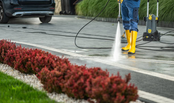 Best Sidewalk and Walkway Cleaning  in Port Orange, FL